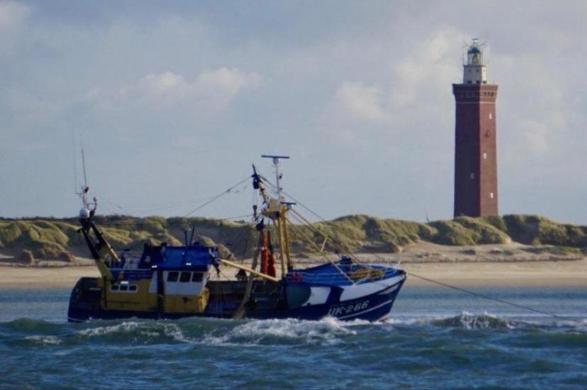 Caravan Stadstuin Goedereede Let Op De Badkamer Moet Met Andere Gasten Gedeeld Worden Dış mekan fotoğraf